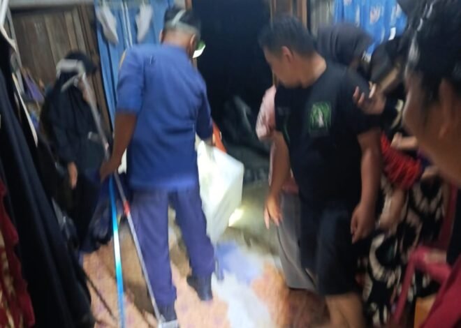 Kobra 1,2 Meter Dievakuasi dari Rumah Ketua RT di Barabai